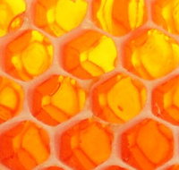 The Honey Pot - Taree Accommodation