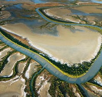 The Wilderness Gallery - Taree Accommodation