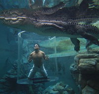 Crocosaurus Cove - Taree Accommodation