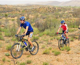 Araluen Mountain Bike Trails - Taree Accommodation 0