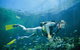 Kirra Reef Dive Site - thumb 0