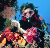 Nine Mile Reef Dive Site - Taree Accommodation