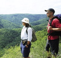 Sunshine Coast Hinterland Great Walk - Taree Accommodation