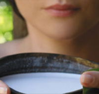 Ikatan Day Spa - Taree Accommodation