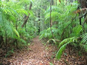 Mapleton QLD Taree Accommodation