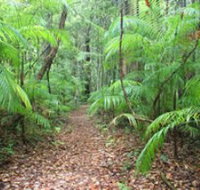 Delicia Road Conservation Park - Taree Accommodation
