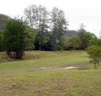 Brooyar State Forest - Taree Accommodation