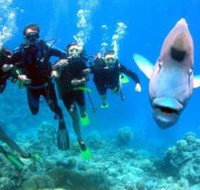 Magic Mountain Dive Site - Taree Accommodation