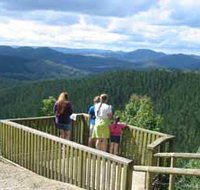 Kenilworth Forest Reserve - Taree Accommodation