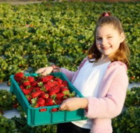 Strawberry Fields - Taree Accommodation