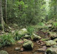 Amamoor State Forest - Taree Accommodation