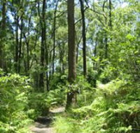 Mapleton Falls National Park - Taree Accommodation