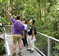 Daintree Discovery Centre - Taree Accommodation