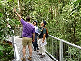 Daintree Discovery Centre - Taree Accommodation 0