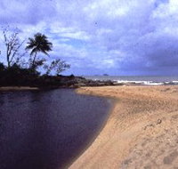 Russell River National Park - Taree Accommodation