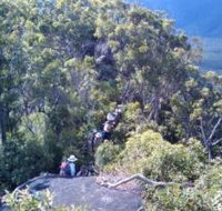 Mia Mia State Forest - Taree Accommodation