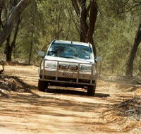 Ward River 4x4 Stock Route Trail - Taree Accommodation