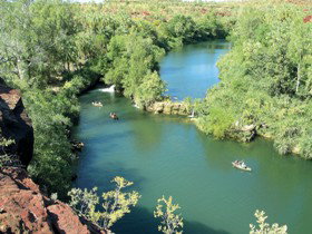 Wild Dog Dreaming, Boodjamulla (Lawn Hill) National Park - Taree Accommodation 0
