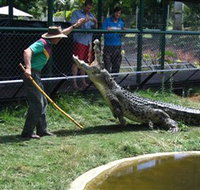 Snakes Downunder Reptile Park and Zoo - Taree Accommodation