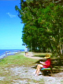 Woodgate QLD Taree Accommodation