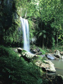Tamborine QLD Taree Accommodation