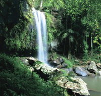 Curtis Falls Joalah Section - Taree Accommodation