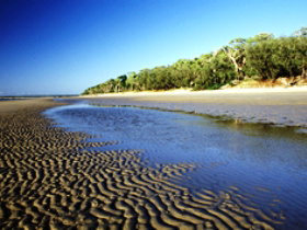 Burrum Coast National Park - Taree Accommodation 0
