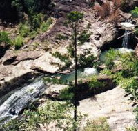 Banksia Track and the Boardwalk - Taree Accommodation