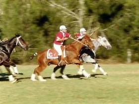 Warwick QLD Taree Accommodation