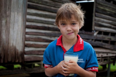 Maleny Dairies - Taree Accommodation 2