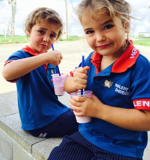 Maleny Dairies - Taree Accommodation 3