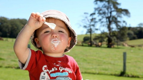 Maleny Dairies - Taree Accommodation 5