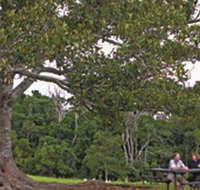 Ravensbourne National Park - Taree Accommodation