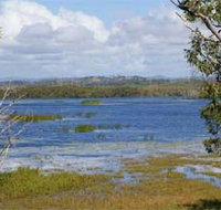 Lake Barfield - Taree Accommodation