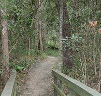 Springwood Conservation Park - Taree Accommodation
