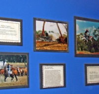 Town Hall Photographic Display - Taree Accommodation