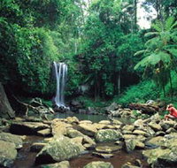 Tamborine National Park - Taree Accommodation