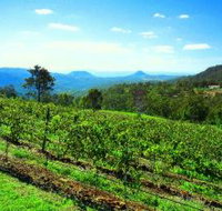 Preston Peak Wines - Taree Accommodation