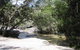 Davies Creek National Park And Dinden National Park - thumb 0