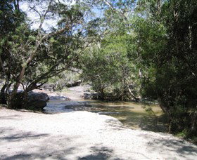 Davies Creek National Park And Dinden National Park - Taree Accommodation 0