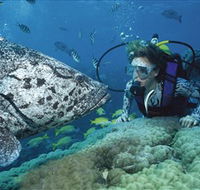 Pelorus Island - Taree Accommodation