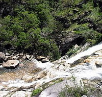 Dinden National Park - Taree Accommodation
