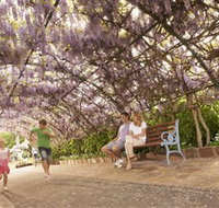 Laurel Bank Park - Taree Accommodation