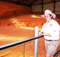 Dinosaurs and Opals Four Wheel Drive Track - Taree Accommodation