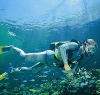 Manta Ray Bommie Dive Site