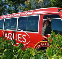 Jaques Coffee Plantation - Taree Accommodation