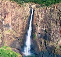 Buujan Quiinbiira Walk Wet Tropics Great Walk