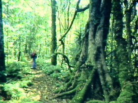 Obum Obum QLD Taree Accommodation