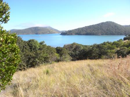 South Cumberland Islands National Park - Taree Accommodation 0