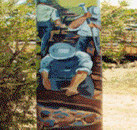 Alpha Murals - Taree Accommodation